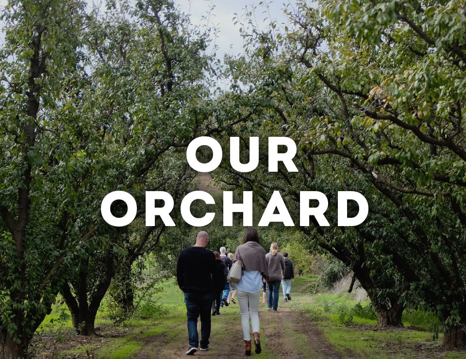 Our Orchard