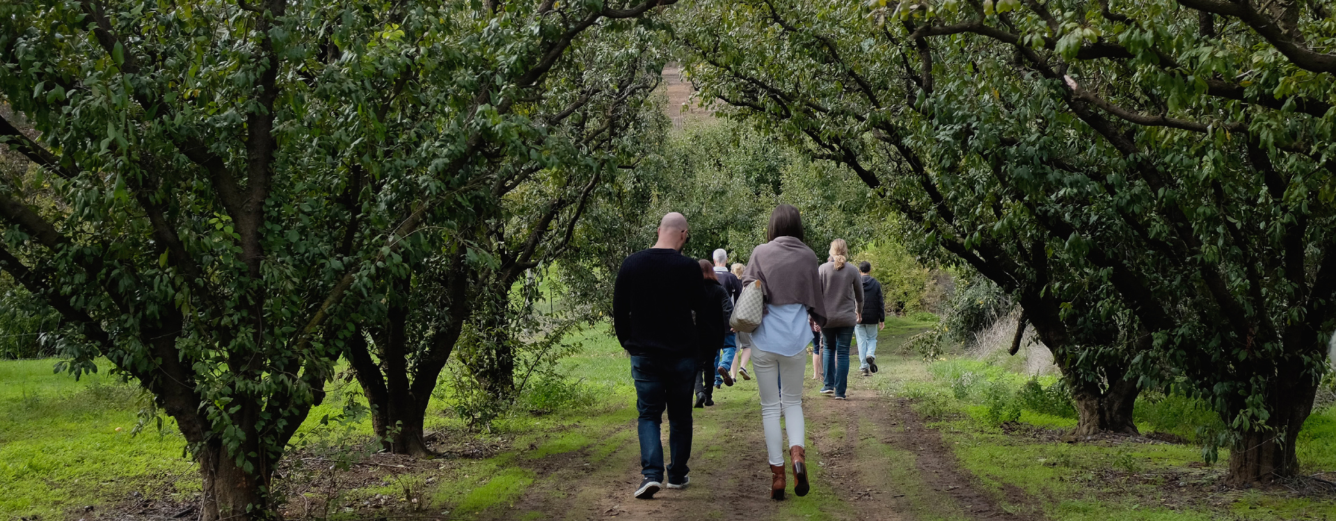 Our Orchard